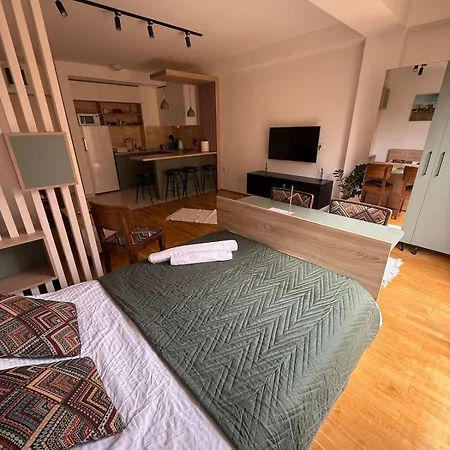 Centre Near Zoo With Private Parking 公寓 斯科普里