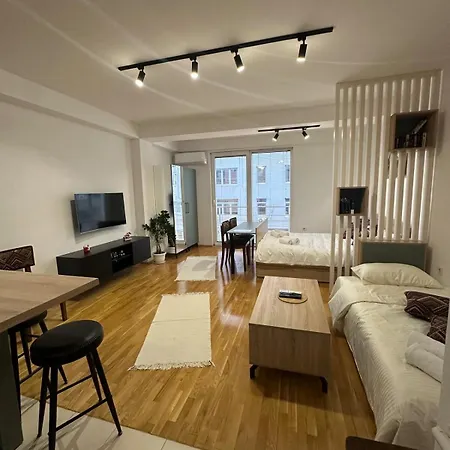 Centre Near Zoo With Private Parking 斯科普里