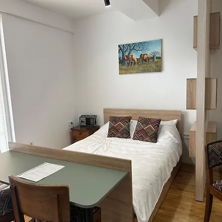 Centre Near Zoo With Private Parking * 斯科普里