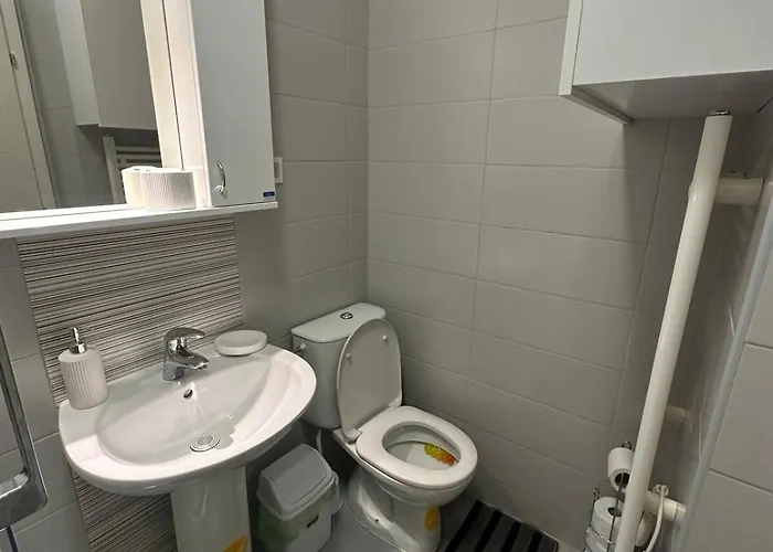 Centre Near Zoo With Private Parking 斯科普里